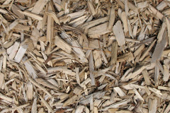 biomass boilers Trillick